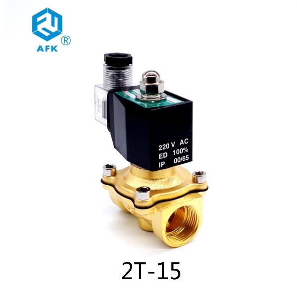 Brass Electric Natural Gas Solenoid Valve 1/2 inch 220V