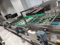 Cadena de producción automática de la torta de la inyección de la crema del motor 220V de ABB