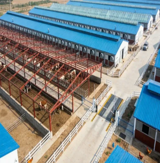 Modular Quick-Assembly Windproof Waterproof Low-Maintenance Steel Poultry House and Livestock Steel Shed