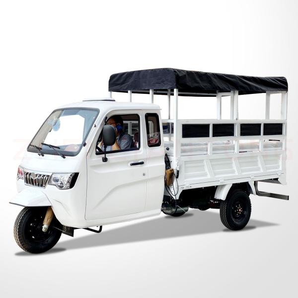 Triciclo de carga motorizado de semi-cabine de 800W com cabine fechada e tampa de carga de plástico