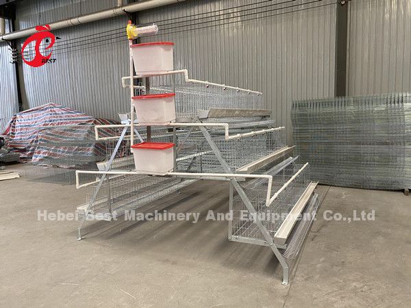 Best A Type Chicken Cage 500 Birds For Layers Poultry Farming Chicken Cage Sandy
