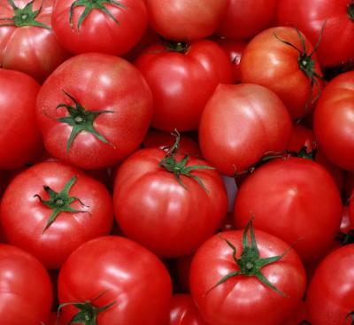 Linha de processamento automática 50 toneladas da pasta de tomate/hora