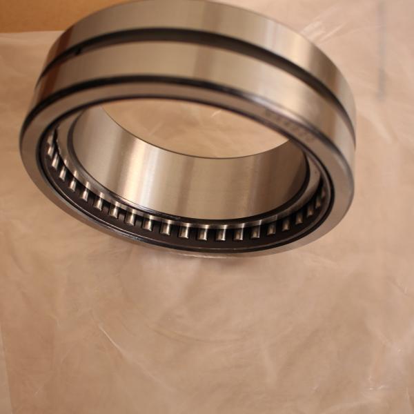 Solid Collar NA 495 Flat Needle Crossed Single Row Roller Bearing with inner ring