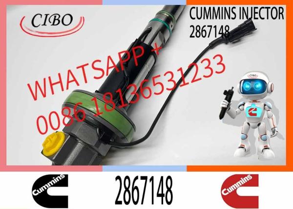 High Quality Diesel Engine Fuel Injector Y431K05392 2867147 2867148 For CUMMINS QSK19 QSK38 QSK50 QSK60 Engine
