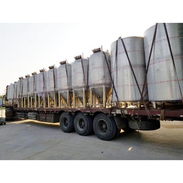 300L 500L Stainless Steel Fermentation Beer Micro Brewing Machine