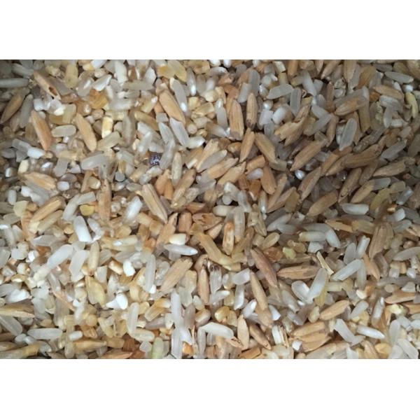 Recycling Rice Color Sorter Machine Intelligent 2 Chute RGB Tri Chromatic