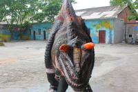 Traje realista del dinosaurio de la goma de silicona suave, traje realista del rapaz