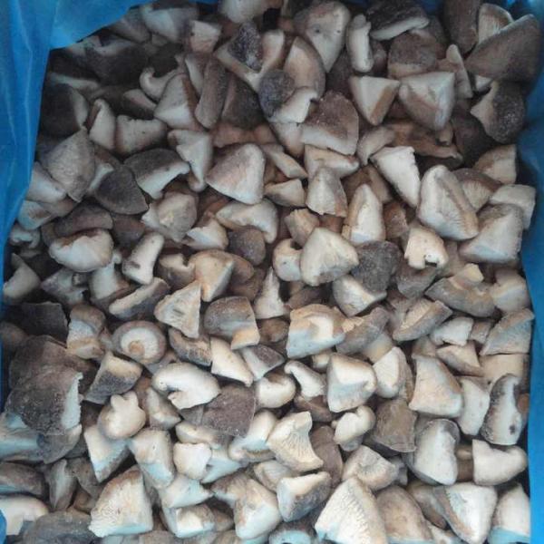 Sinocharm Wholesale Price Premium Frozen Mushroom High Quality 1/4 Cut IQF Frozen Shiitake with BRC a From China