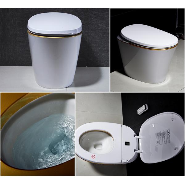 Ceramic Material Auto Wash Toilet Warm Water Washing Remote Control Design Smart toilet