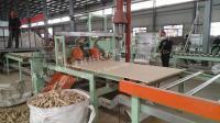 Chaîne de production minérale de panneau de particules de plafond faux de décoration intérieure