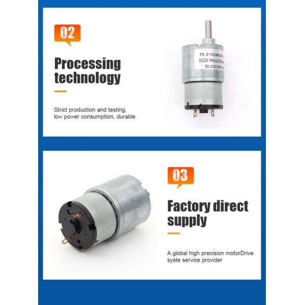 Customized DC Spur Gear Motor 7RGM520 3V- 24V High Torque Spur Gear Motor