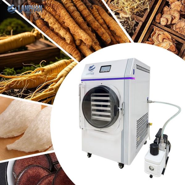 Food Vacuum Home Freeze Drying Machine Freezer Dryer Lyophilizer for 6 Kg