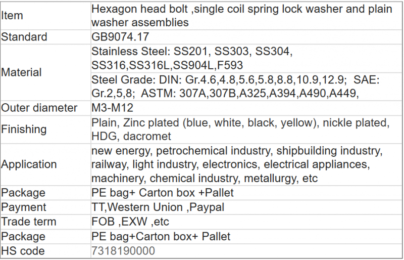 Hexagon head bolt ,single coil spring lock washer and plain washer accessbilies