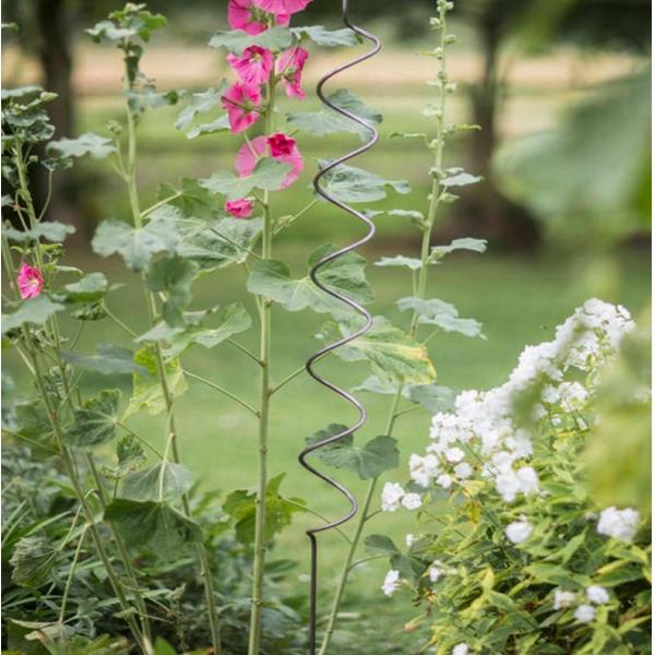 8.0mm*2.0m Plant Support Wire Greenhouse Iron Spiral