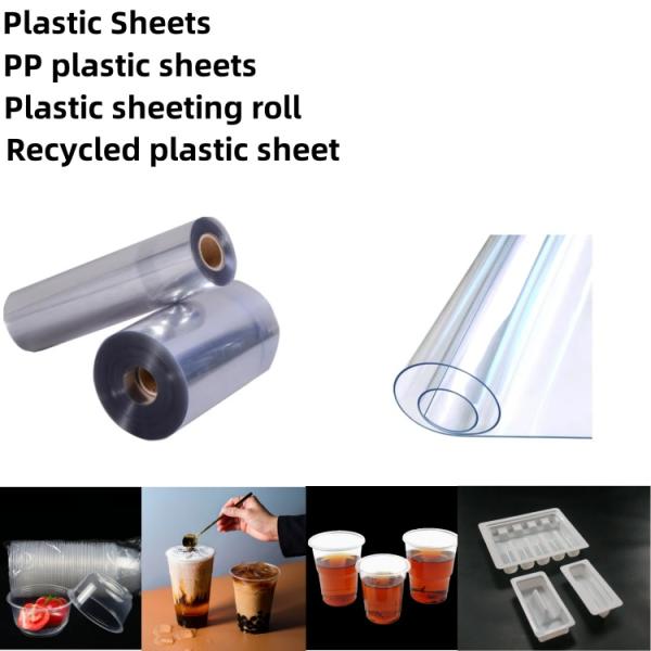 Hojas de plástico de formación al vacío Hojas de cubierta de PP ecológicas
