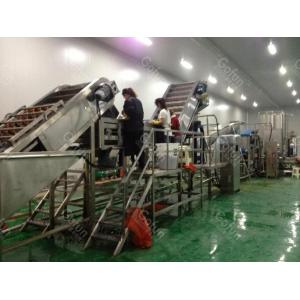 Industrial Tomato Paste Manufacturing Plant  CE Certified Turnkey Project