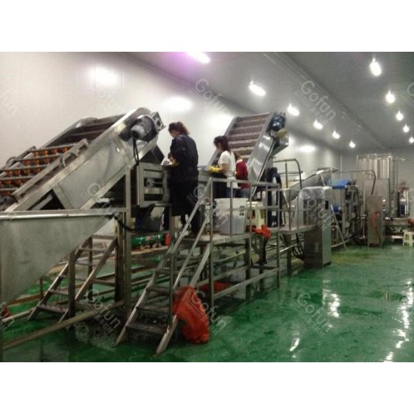 Tomato Paste Processing Line – Concentrate for Industrial & Export Use