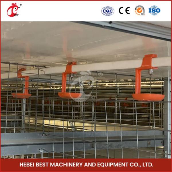 Automatic H Type Meat Broiler Chicken Cage 84 Birds Poultry Farm Equipment  Mia