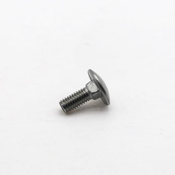 Customization Stainless Steel Carriage Bolts Electroplating Surface Treatment