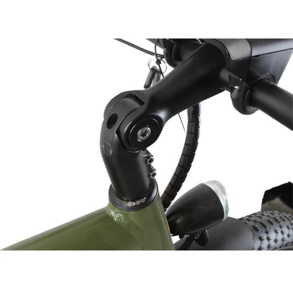 DOMANCA Standard Fat Tire Electric Bike with 2 Seat Lithium Battery Power Supply