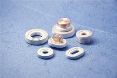 Metallized 95% AL2O3 Alumina Ceramic Insulator For Battery