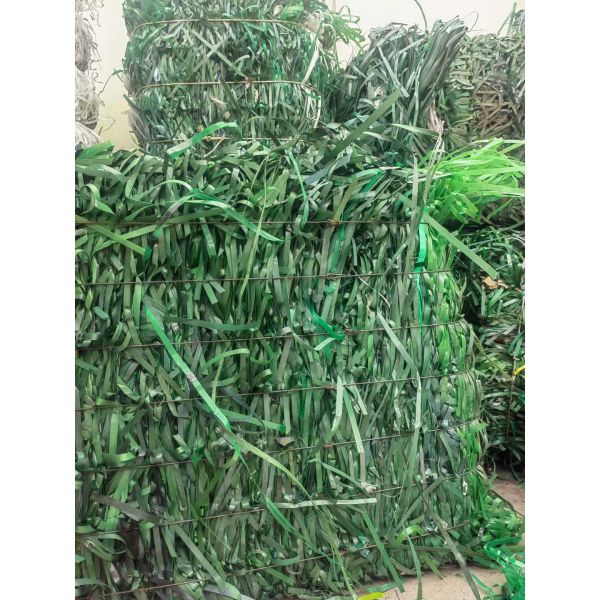 Automatic 15-19 mm green PET strapping belt PP PET packaging belt for manual strapping machines