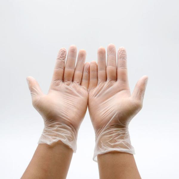 Powder Free Disposable PVC Gloves No Allergies Strong Versatility Flexible Operation