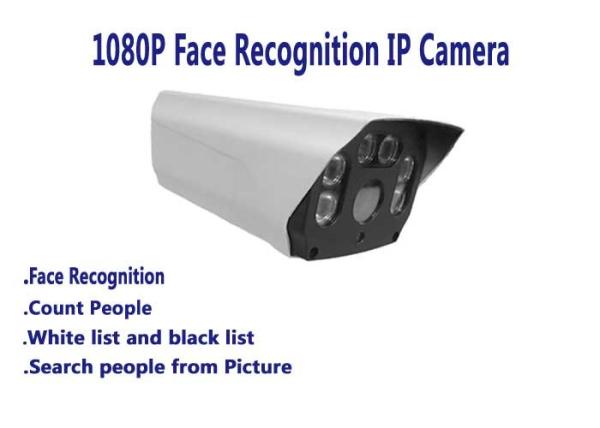 Waterproof Face Recognition and Count People IP Camera