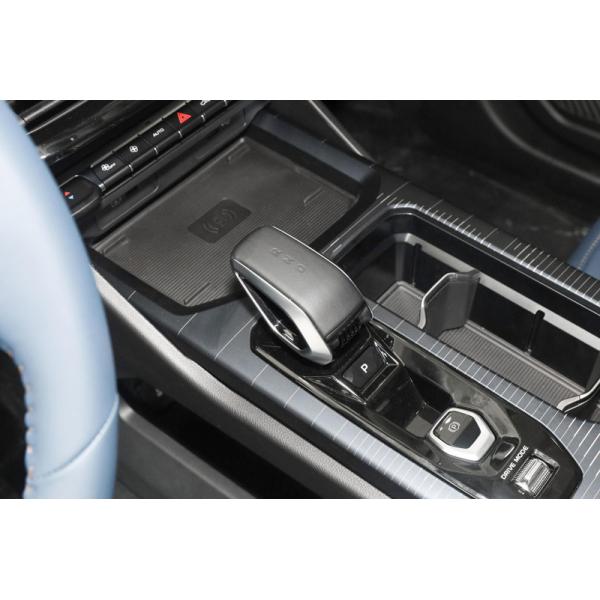 2024Hot sale EV Electric Vehicle Rui LAN 9 2023 leading version Mid-size SUV