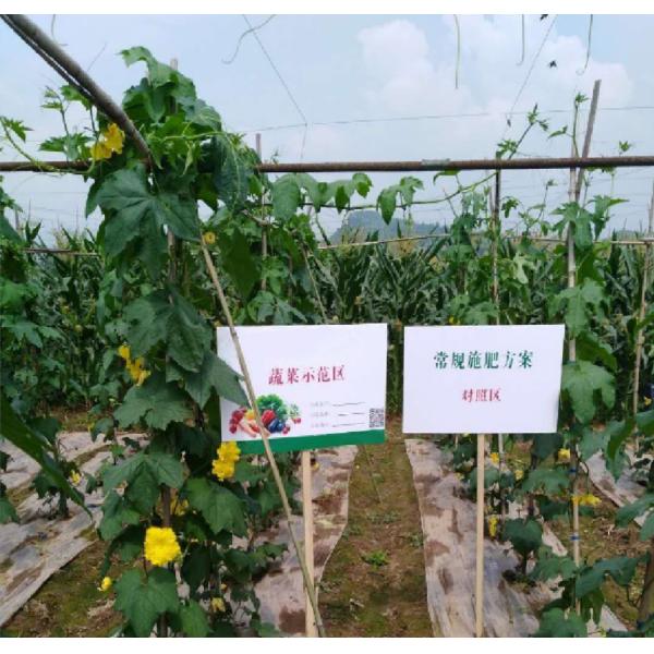 Liquid Amino Acid Crop Fertilizer Material For Base Flush Chase Compound Fertilizer