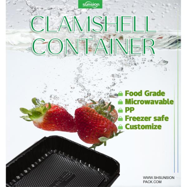 Reusable Plastic Food Packaging Box, PP Hinged Lid Clamshell Container,Microwavable,9.2”x9.5”x3”