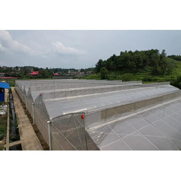 Cheap Good Price Plastic Film Tropical Tunnel House Single-Span Sawtooth Top Vent Greenhouse For Sale