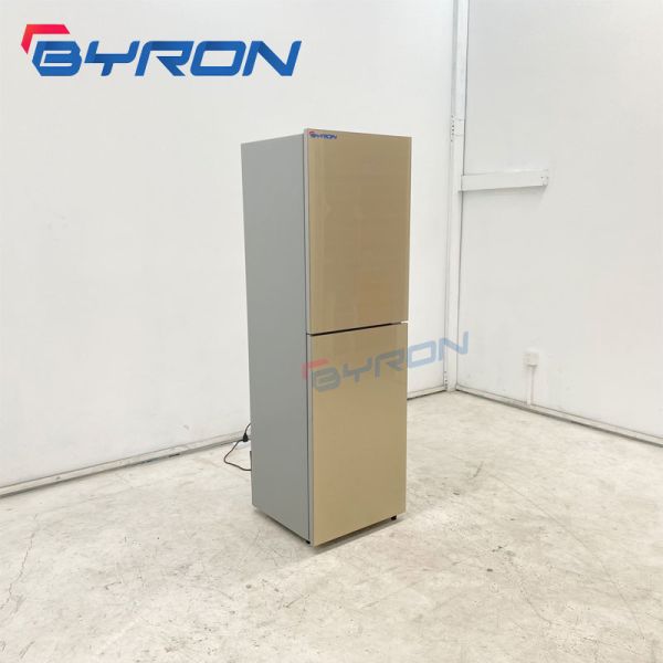 Bedroom Drink Apartment Fridge Modern Design Residential Refrigerator
