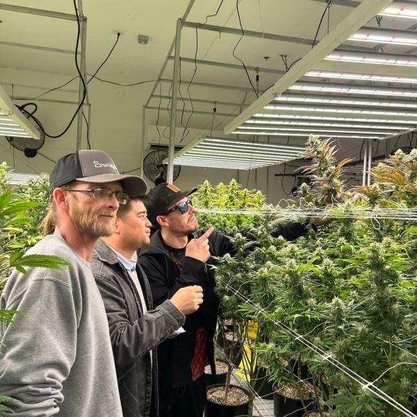 СИД верхнего сегмента крытое растет светлые 520W 2 спектры Dimmable с инфракрасн