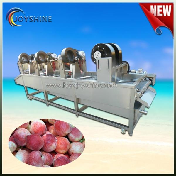 Máquina de secagem industrial de frutas para secar alimentos e vegetais