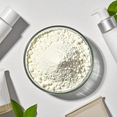 Skincare Hydroxypropyl Beta Cyclodextrin Powder Raw Material ChP2020 Standard