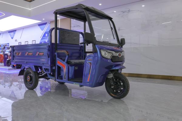 1.6m Passenger Long Endurance Sunroof Transport Cargo Tricycle Electric