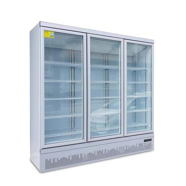 Охладитель напитка модельной стеклянной двери коммерчески для выходов