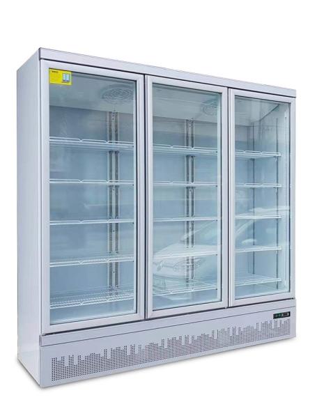 White Danfoss Compressor 1950L Glass Door Freezer