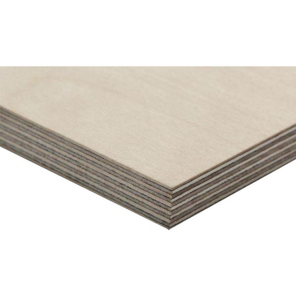 Birch Aspen Pine Plywood X 12 plywood Factory Price White modern interior