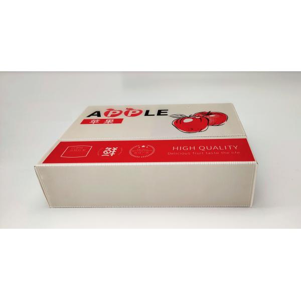 Anti Mold Gift White Corrugated Boxes Packaging Anti Rodent