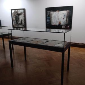 High Strength Glass Cover Table Display Cabinet Custom Museum Display Cabinet