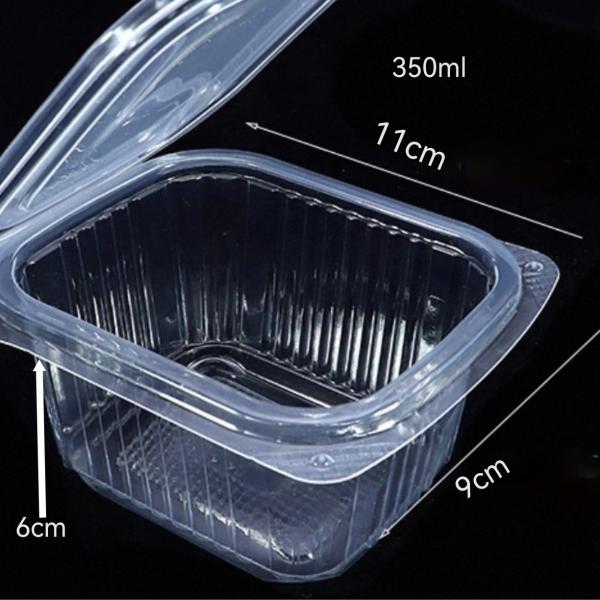 Customized factory disposable transparent vacuum formed rectangular PET plastic hinge clam shell flat lid sauce, fruit and vegetable pudding box