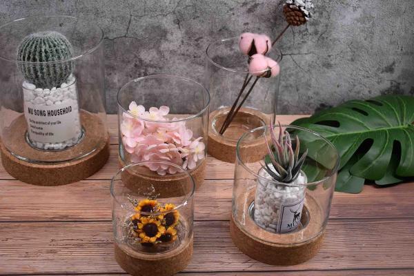 Toxicless Odorless Glass Jar Cork Wood Base Groove 2.5 Inch for Micro Landscape