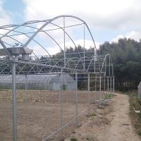 Structure stable anti-corrosion serre commerciale équipements de serre en plastique