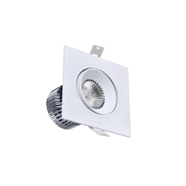 2700k 3000k LED DownLight