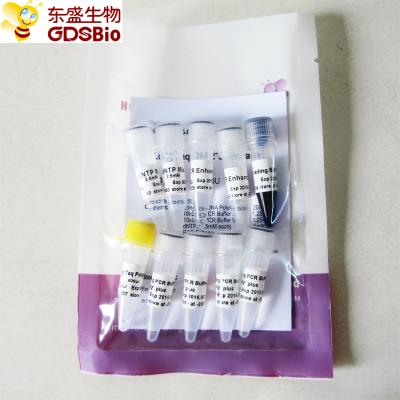 Polimerase de ADN longa #P1064 de Taq 1,000U