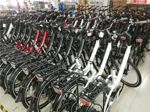 Huzhou Thunder Electric Bike Co., Ltd.