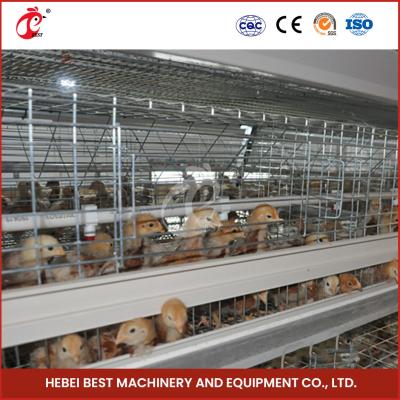 Silver Hot Galvanized Broiler Chicken Cage For Raising Chickens Adela
