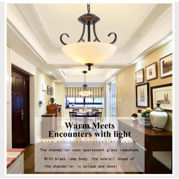 Modern Black Chandelier For Dining Hall Hallway Study Hotel Installed Light(WH-CI-159)